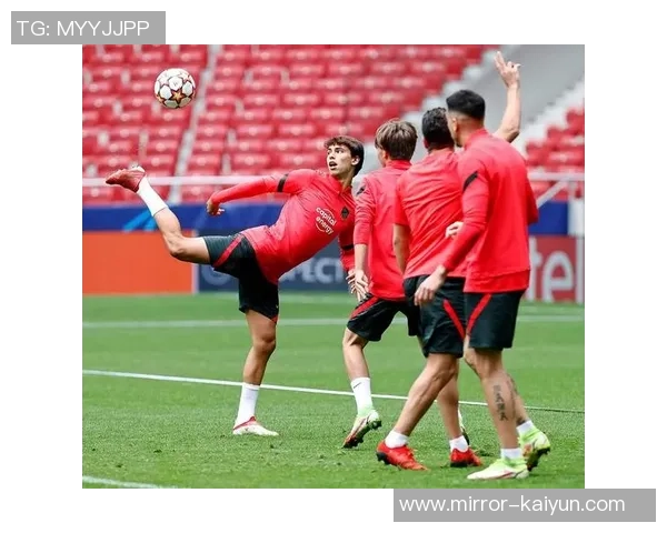 探索MMA与足球踢结合的全新竞技模式与训练方法